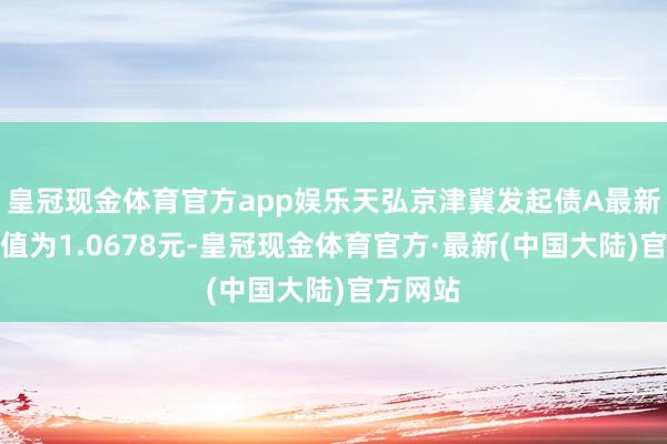 皇冠现金体育官方app娱乐天弘京津冀发起债A最新单元净值为1.0678元-皇冠现金体育官方·最新(中国大陆)官方网站