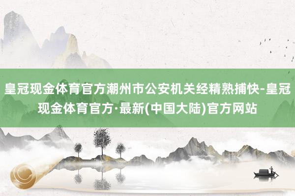 皇冠现金体育官方潮州市公安机关经精熟捕快-皇冠现金体育官方·最新(中国大陆)官方网站